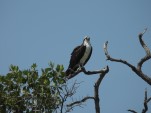 Mexiko - Chiapas und Yucatán<br><br>