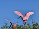 Mexiko - Chiapas und Yucatán<br><br>