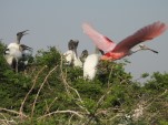 Mexiko - Chiapas und Yucatán<br><br>